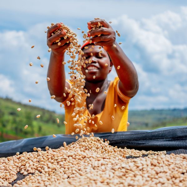 ルワンダ・TUK農協