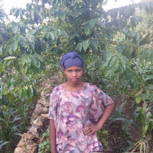 エチオピア・ハラーデデール