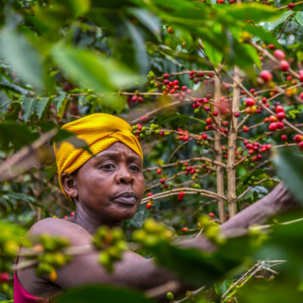 ugandaBH